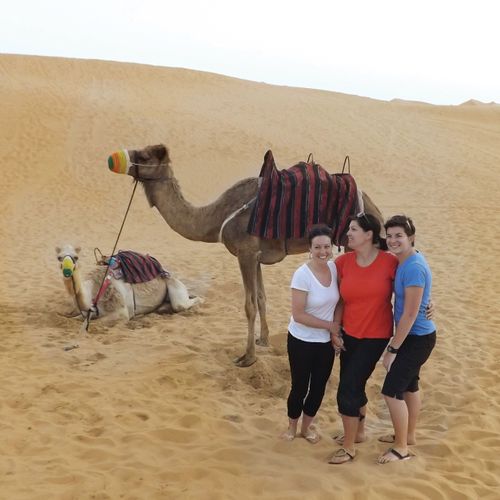 Group with camel